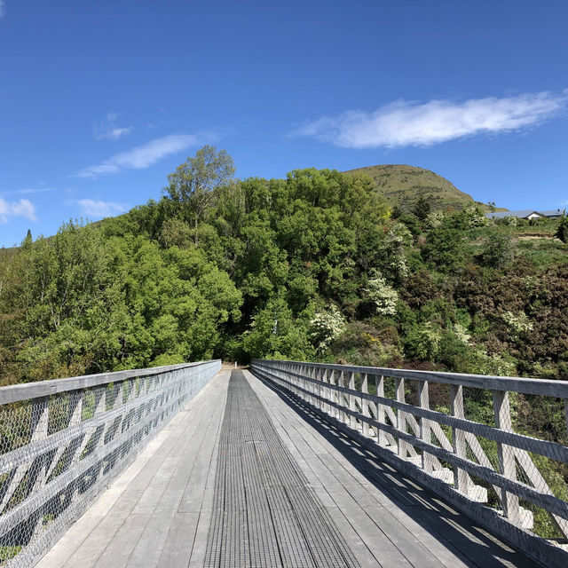 Queenstown Reverie: Lake's Embrace Beckons