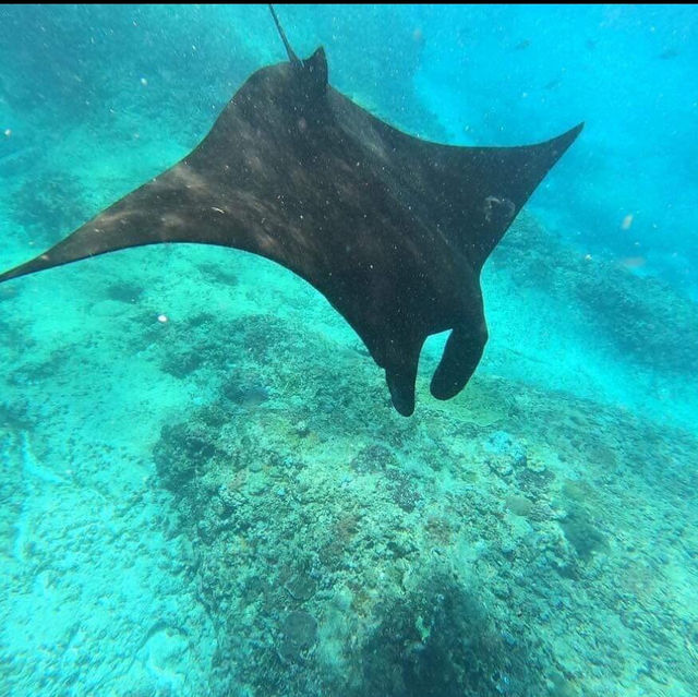 Snorkeling Adventure at Bali's Blue Lagoon: A Marine Wonderland