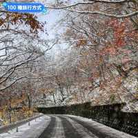 賞楓途中遇到雪！白雪覆蓋的夢幻蔦溫泉