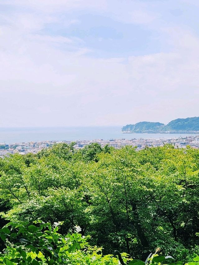 【鎌倉・妙法寺】朝に訪れたい静寂の苔寺