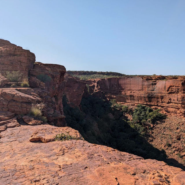 Unveil the Wonders of Kings Canyon - Watarrka National Park