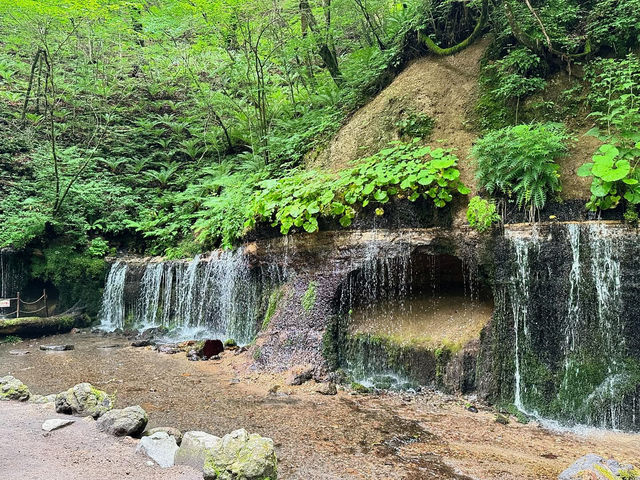 Discovering Shiraito Falls