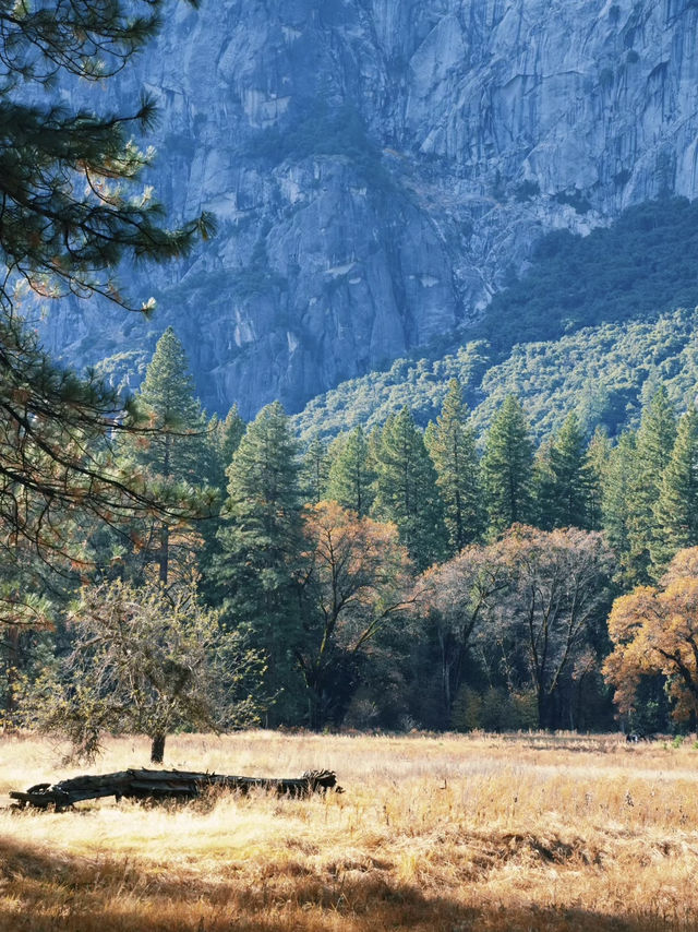 Trail Mix and Epic Views: Strolling Through Yosemite