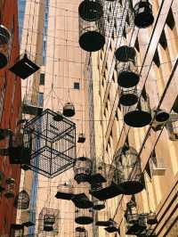 Angel Place Birdcages 