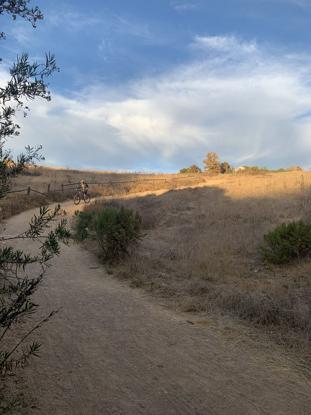 Gorgeous Fall colors in Winter on the Lopez Canyon Trail