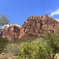 A riverside walk at Zion 