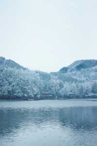 聽說很多人不相信這是廬山的雪景