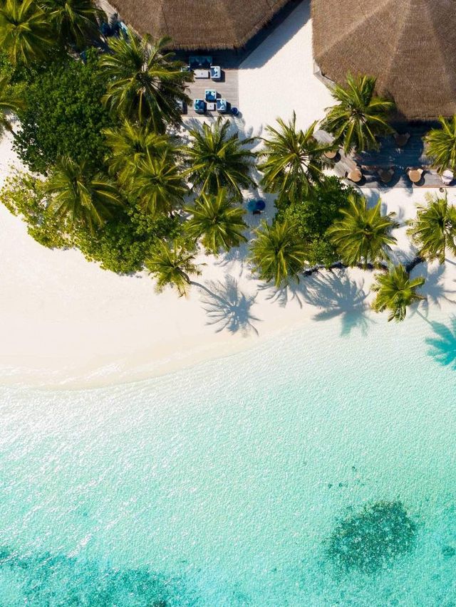 🏝️ Unwind in Paradise: Mirihi Island Resort, Maldives 🌊