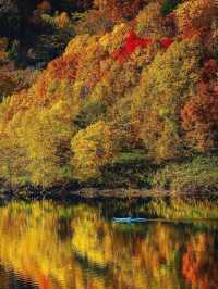 北海道秋季紅葉奇景 — 探索日本賞紅葉季的絕美勝地。