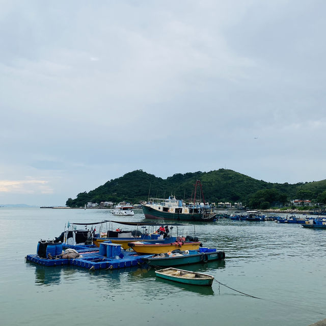 Tai O Boat Trip 🚤🇭🇰 Watch the Chinese Pink Dolphin! 🐬💓