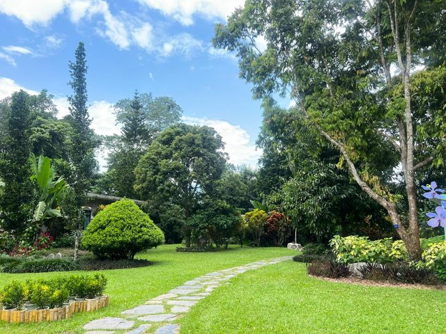 西雙版納中科院植物園——熱帶雨林。