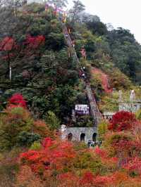 川北銀杏彩林遊，跟我一起換個花樣拍秋天！。