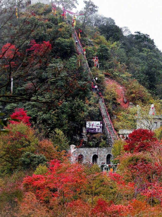 川北銀杏彩林遊，跟我一起換個花樣拍秋天！。