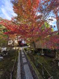 京都賞楓頂流之一：東福寺