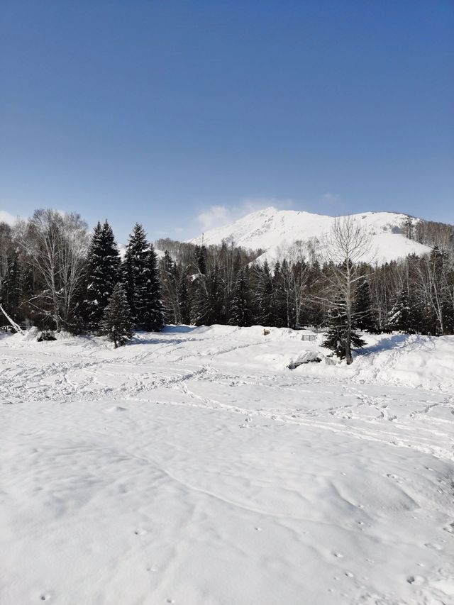 9天暢遊北疆烏魯木齊出發 揭秘新疆之旅的震撼美景