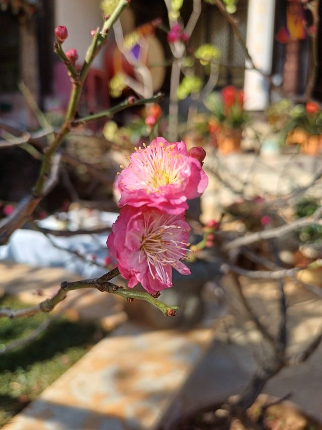 江南風韻的昆明鹽隆祠