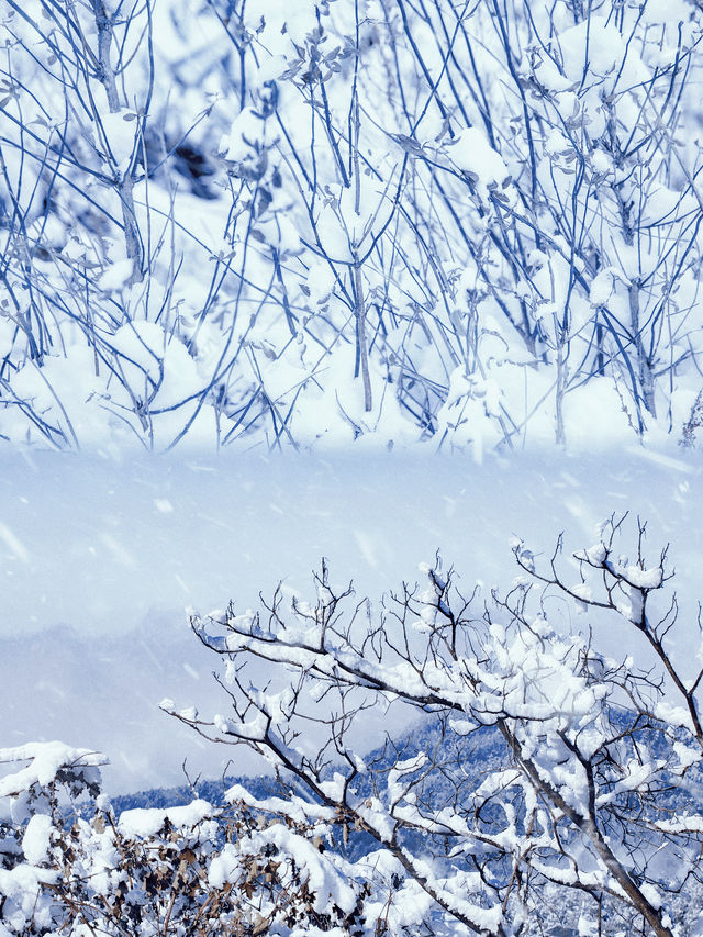 不是童話！是重慶！雪一落這裡就美成了詩