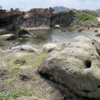 走到台灣北部盡頭-野柳地質公園