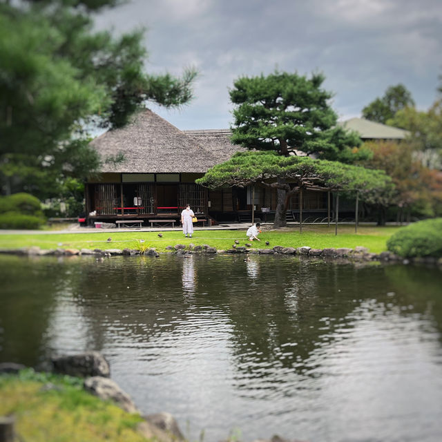 薬草で知られる美しい庭園