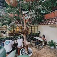 DARUMA BRUNCH HOUSE | THE CULTURE OF BRUNCH