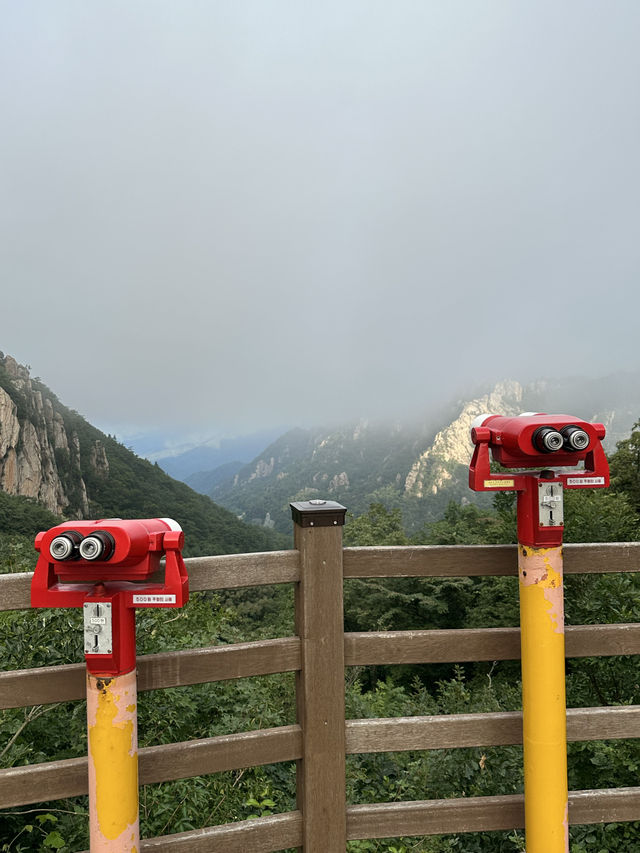 첩첩산중 🏞️ 아름다운 백두대간 풍경을 볼 수 있는 산 속 전망대 휴게소 💚