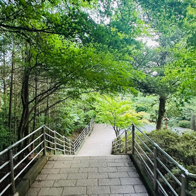 新倉山淺間公園（五重塔）