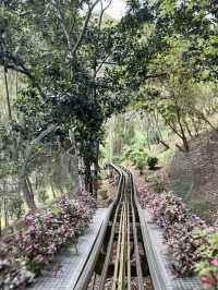 越南 | 體驗穿越山林 亞洲最長過山車欣賞瀑布🎢