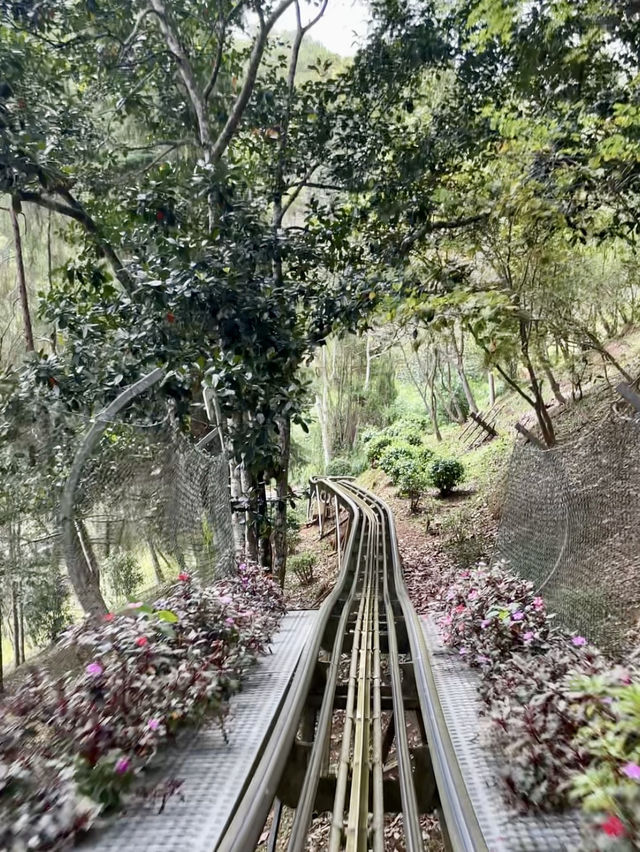 越南 | 體驗穿越山林 亞洲最長過山車欣賞瀑布🎢