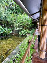 Freshwater Aquarium in River Wonders Singapore