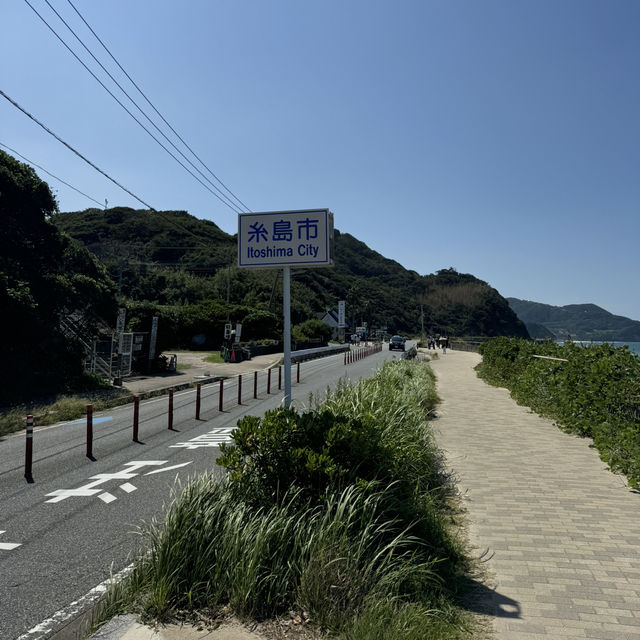 系島 自駕半日遊