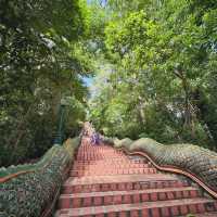 Ascending to Serenity: A Day at Wat Phra That Doi Suthep