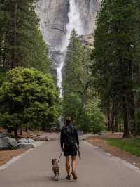 A Guide to Chasing Waterfalls in Yosemite National Park