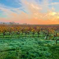 A Perfect Day in Saint-Émilion: Wine, History, and Enchantment 