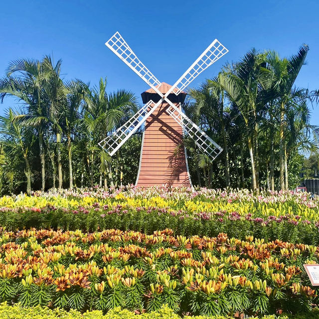 A Colorful Day Out at Chung She Flower Garden