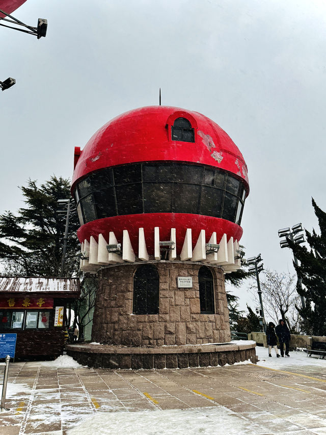 不是韓國！在青島！雪後青島太出片！！！