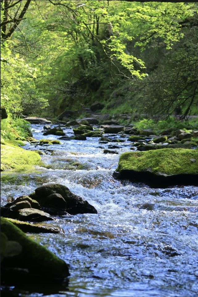 六盤山國家森林公園|和我一起徒步森林吧