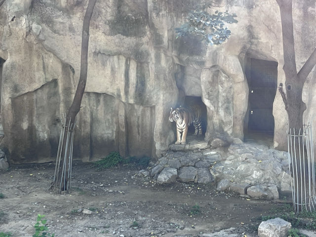 中國開放最早的動物園——北京動物園