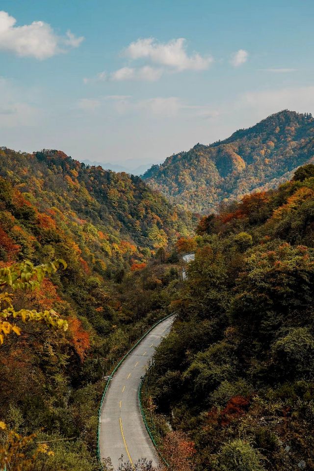 秋天旅遊推薦之秦嶺。