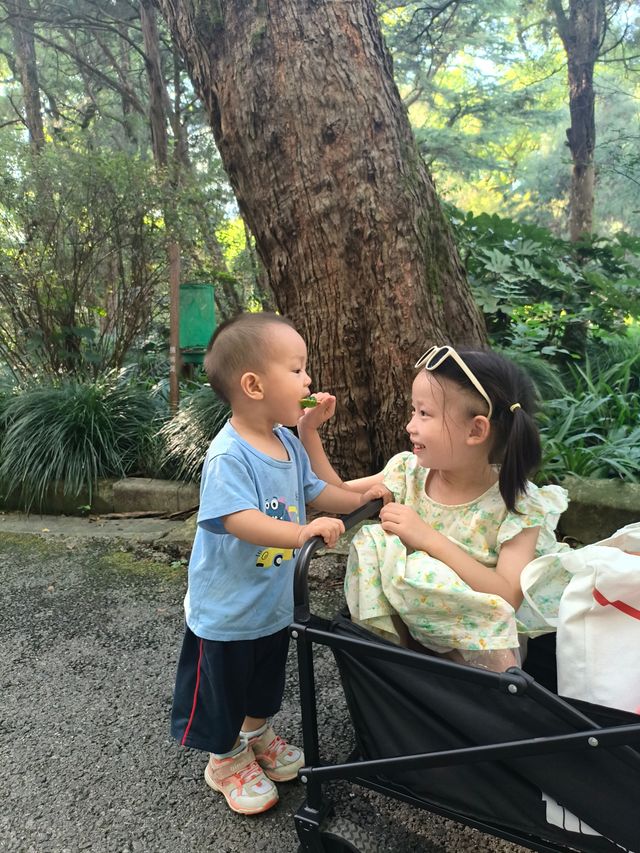 天氣正好，遛娃好去處——上海動物園。