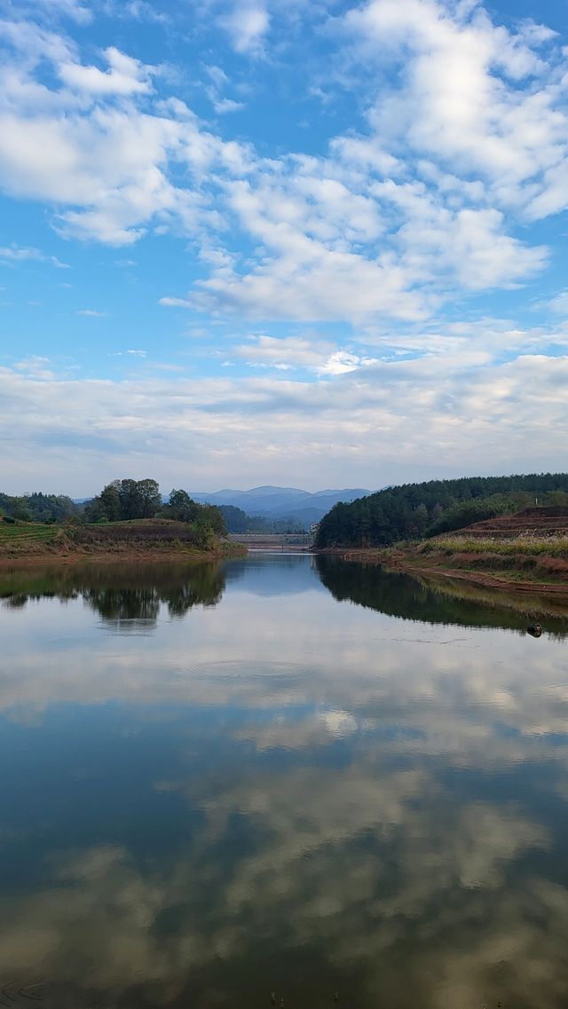 迴音森林～遠離喧囂，感受寧靜舒適的度假旅程。