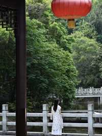 深圳小江南 | 地鐵直達免門票 | 機位大放送。