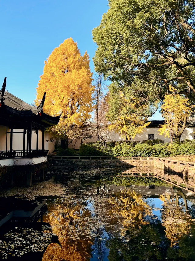 古典園林與琉璃光院的光影對話