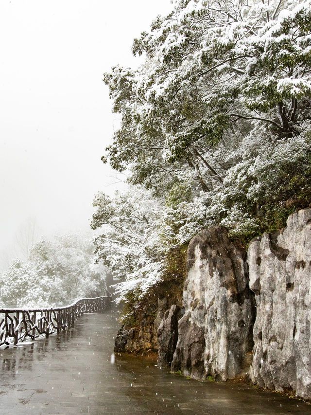 涪陵一日遊…還得是武陵山大裂谷雪景有意思