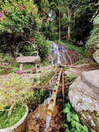 Doi Pui Waterfall: A Symphony in Nature's Heartbeat