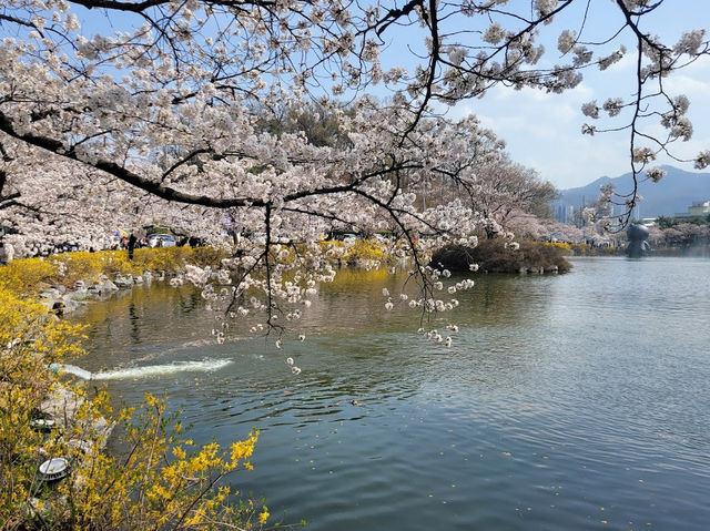 Stunning Yeonhwaji Park