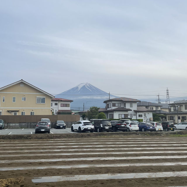 Reflections of Mount Fuji: A day trip to Lake Kawaguchiko from Tokyo