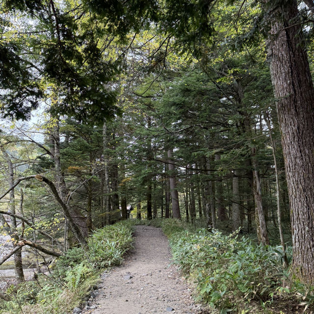 รีวิวการเดินทางไป Kamikochi แบบละเอียดมากๆๆ