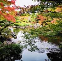 Nature’s Palette: Autumn Bliss at Kokoen Garden, Himeji!