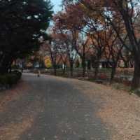 Korea travel 