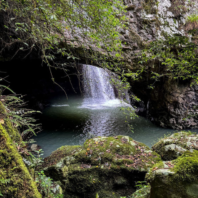 Discover the Enchanting Beauty of Springbrook National Park